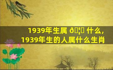 1939年生属 🦉 什么,1939年生的人属什么生肖